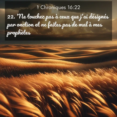 Segond21 1 Chroniques  ; image nature: image avec le verset biblique :&#039;Ne touchez pas à ceux que j&#039;ai désignés par onction et ne faites pas de mal à mes prophètes!&#039; ;  ; 16:22
