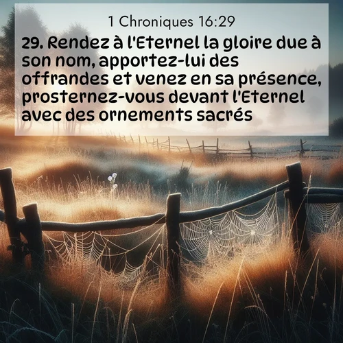 Segond21 1 Chroniques  ; image nature: image avec le verset biblique :Rendez à l&#039;Eternel la gloire due à son nom, apportez-lui des offrandes et venez en sa présence, prosternez-vous devant l&#039;Eternel avec des ornements sacrés! ;  ; 16:29