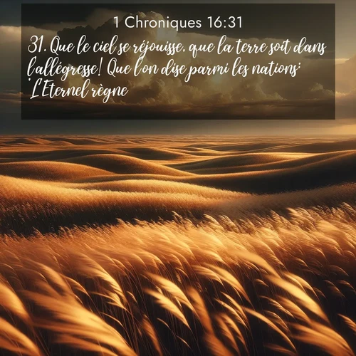 Segond21 1 Chroniques  ; image nature: image avec le verset biblique :Que le ciel se réjouisse, que la terre soit dans l&#039;allégresse! Que l&#039;on dise parmi les nations: &#039;L&#039;Eternel règne.&#039; ;  ; 16:31