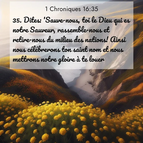 Segond21 1 Chroniques  ; image nature: image avec le verset biblique :Dites: &#039;Sauve-nous, toi le Dieu qui es notre Sauveur, rassemble-nous et retire-nous du milieu des nations! Ainsi nous célébrerons ton saint nom et nous mettrons notre gloire à te louer.&#039; ;  ; 16:35