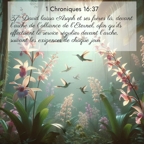 Segond21 1 Chroniques  ; image nature: image avec le verset biblique :David laissa Asaph et ses frères là, devant l&#039;arche de l&#039;alliance de l&#039;Eternel, afin qu&#039;ils effectuent le service régulier devant l&#039;arche, suivant les exigences de chaque jour. ;  ; 16:37