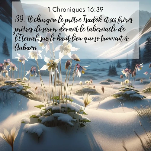 Segond21 1 Chroniques  ; image nature: image avec le verset biblique :Il chargea le prêtre Tsadok et ses frères prêtres de servir devant le tabernacle de l&#039;Eternel, sur le haut lieu qui se trouvait à Gabaon. ;  ; 16:39