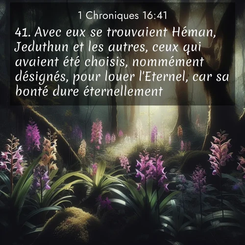 Segond21 1 Chroniques  ; image nature: image avec le verset biblique :Avec eux se trouvaient Héman, Jeduthun et les autres, ceux qui avaient été choisis, nommément désignés, pour louer l&#039;Eternel, car sa bonté dure éternellement. ;  ; 16:41