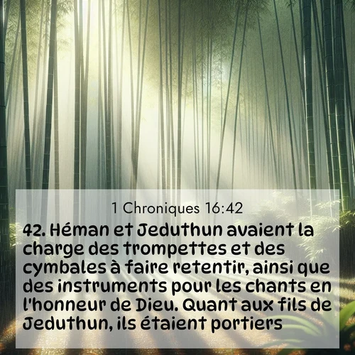 Segond21 1 Chroniques  ; image nature: image avec le verset biblique :Héman et Jeduthun avaient la charge des trompettes et des cymbales à faire retentir, ainsi que des instruments pour les chants en l&#039;honneur de Dieu. Quant aux fils de Jeduthun, ils étaient portiers. ;  ; 16:42