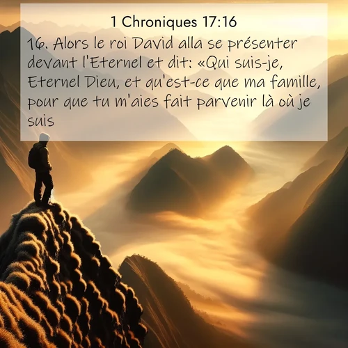 Segond21 1 Chroniques  ; image nature: image avec le verset biblique :Alors le roi David alla se présenter devant l&#039;Eternel et dit: «Qui suis-je, Eternel Dieu, et qu&#039;est-ce que ma famille, pour que tu m&#039;aies fait parvenir là où je suis? ;  ; 17:16