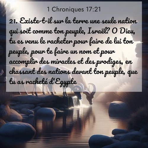 Segond21 1 Chroniques  ; image nature: image avec le verset biblique :Existe-t-il sur la terre une seule nation qui soit comme ton peuple, Israël? O Dieu, tu es venu le racheter pour faire de lui ton peuple, pour te faire un nom et pour accomplir des miracles et des prodiges, en chassant des nations devant ton peuple, que tu as racheté d&#039;Egypte. ;  ; 17:21