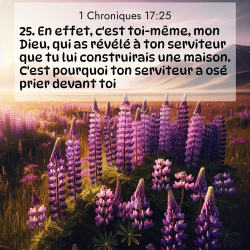 Segond21 1 Chroniques  ; image nature: image avec le verset biblique :En effet, c&#039;est toi-même, mon Dieu, qui as révélé à ton serviteur que tu lui construirais une maison. C&#039;est pourquoi ton serviteur a osé prier devant toi. ;  ; 17:25