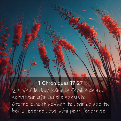 Segond21 1 Chroniques  ; image nature: image avec le verset biblique :Veuille donc bénir la famille de ton serviteur afin qu&#039;elle subsiste éternellement devant toi, car ce que tu bénis, Eternel, est béni pour l&#039;éternité.» ;  ; 17:27