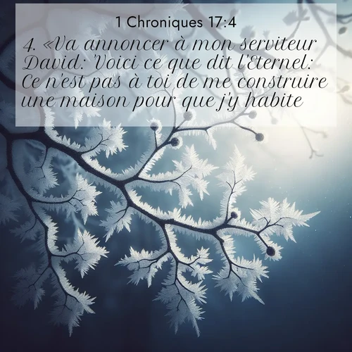 Segond21 1 Chroniques  ; image nature: image avec le verset biblique :«Va annoncer à mon serviteur David: &#039;Voici ce que dit l&#039;Eternel: Ce n&#039;est pas à toi de me construire une maison pour que j&#039;y habite. ;  ; 17:4