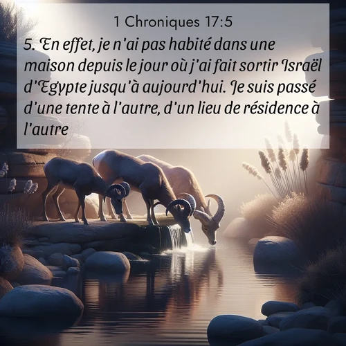 Segond21 1 Chroniques  ; image nature: image avec le verset biblique :En effet, je n&#039;ai pas habité dans une maison depuis le jour où j&#039;ai fait sortir Israël d&#039;Egypte jusqu&#039;à aujourd&#039;hui. Je suis passé d&#039;une tente à l&#039;autre, d&#039;un lieu de résidence à l&#039;autre. ;  ; 17:5
