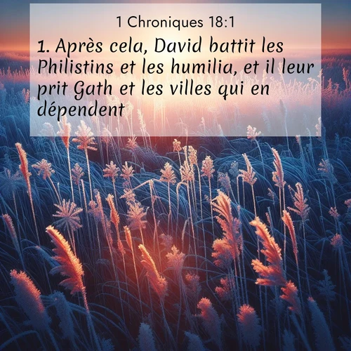 Segond21 1 Chroniques  ; image nature: image avec le verset biblique :Après cela, David battit les Philistins et les humilia, et il leur prit Gath et les villes qui en dépendent. ;  ; 18:1