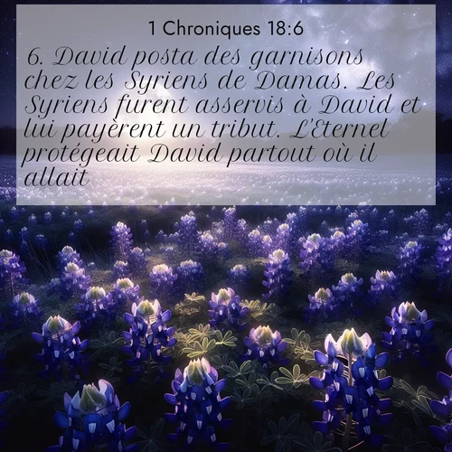 Segond21 1 Chroniques  ; image nature: image avec le verset biblique :David posta des garnisons chez les Syriens de Damas. Les Syriens furent asservis à David et lui payèrent un tribut. L&#039;Eternel protégeait David partout où il allait. ;  ; 18:6