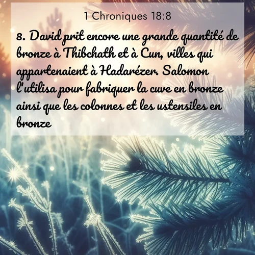 Segond21 1 Chroniques  ; image nature: image avec le verset biblique :David prit encore une grande quantité de bronze à Thibchath et à Cun, villes qui appartenaient à Hadarézer. Salomon l&#039;utilisa pour fabriquer la cuve en bronze ainsi que les colonnes et les ustensiles en bronze. ;  ; 18:8