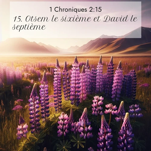 Segond21 1 Chroniques  ; image nature: image avec le verset biblique :Otsem le sixième et David le septième. ;  ; 2:15
