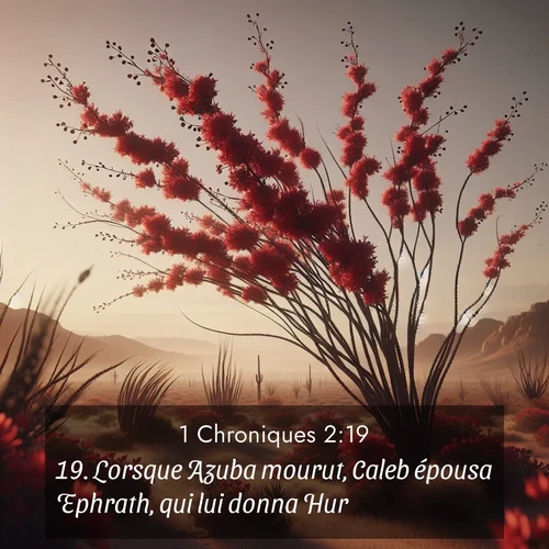 Segond21 1 Chroniques  ; image nature: image avec le verset biblique :Lorsque Azuba mourut, Caleb épousa Ephrath, qui lui donna Hur. ;  ; 2:19