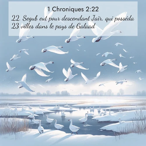 Segond21 1 Chroniques  ; image nature: image avec le verset biblique :Segub eut pour descendant Jaïr, qui posséda 23 villes dans le pays de Galaad. ;  ; 2:22