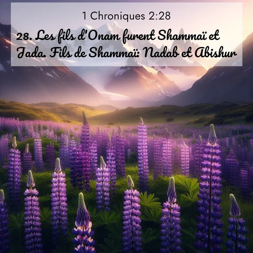 Segond21 1 Chroniques  ; image nature: image avec le verset biblique :Les fils d&#039;Onam furent Shammaï et Jada. Fils de Shammaï: Nadab et Abishur. ;  ; 2:28