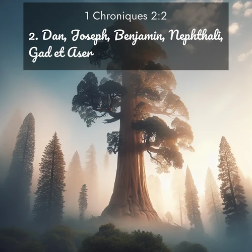 Segond21 1 Chroniques  ; image nature: image avec le verset biblique :Dan, Joseph, Benjamin, Nephthali, Gad et Aser. ;  ; 2:2