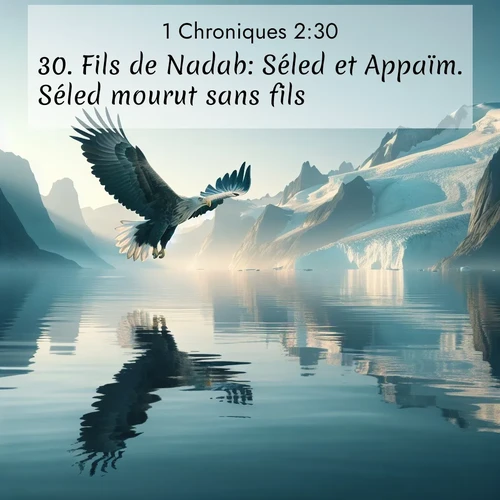 Segond21 1 Chroniques  ; image nature: image avec le verset biblique :Fils de Nadab: Séled et Appaïm. Séled mourut sans fils. ;  ; 2:30