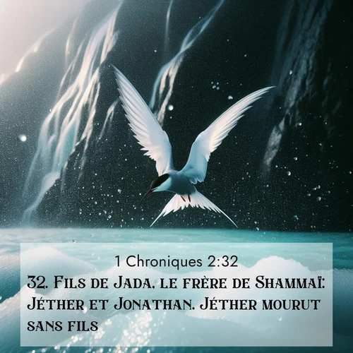 Segond21 1 Chroniques  ; image nature: image avec le verset biblique :Fils de Jada, le frère de Shammaï: Jéther et Jonathan. Jéther mourut sans fils. ;  ; 2:32