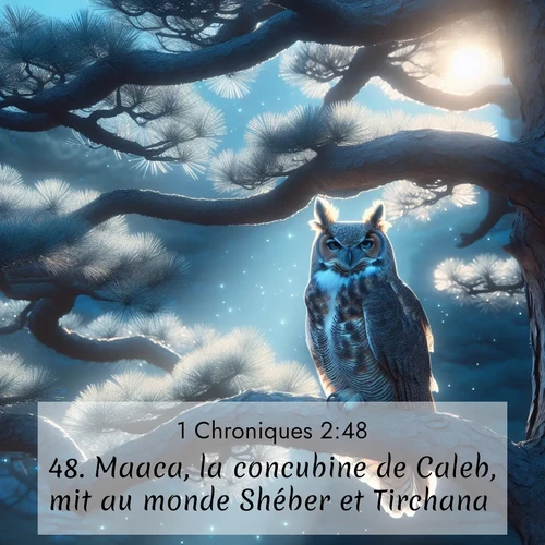 Segond21 1 Chroniques  ; image nature: image avec le verset biblique :Maaca, la concubine de Caleb, mit au monde Shéber et Tirchana. ;  ; 2:48