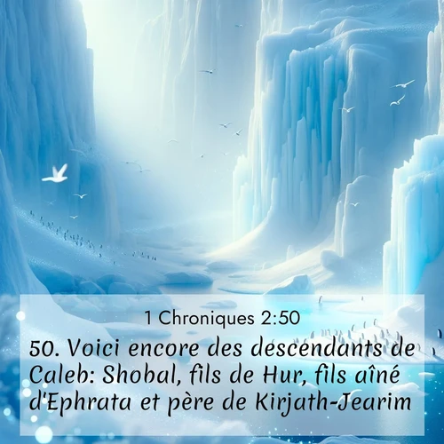 Segond21 1 Chroniques  ; image nature: image avec le verset biblique :Voici encore des descendants de Caleb: Shobal, fils de Hur, fils aîné d&#039;Ephrata et père de Kirjath-Jearim; ;  ; 2:50