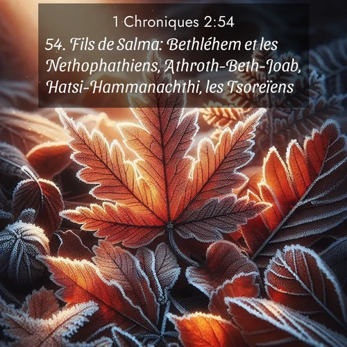 Segond21 1 Chroniques  ; image nature: image avec le verset biblique :Fils de Salma: Bethléhem et les Nethophathiens, Athroth-Beth-Joab, Hatsi-Hammanachthi, les Tsoreïens, ;  ; 2:54