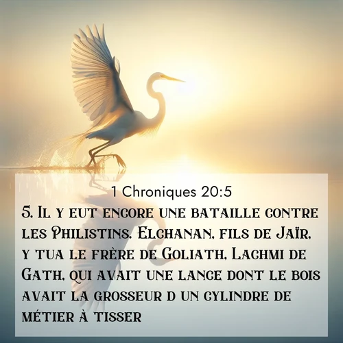 Segond21 1 Chroniques  ; image nature: image avec le verset biblique :Il y eut encore une bataille contre les Philistins. Elchanan, fils de Jaïr, y tua le frère de Goliath, Lachmi de Gath, qui avait une lance dont le bois avait la grosseur d&#039;un cylindre de métier à tisser. ;  ; 20:5