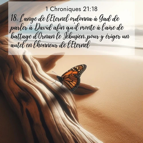 Segond21 1 Chroniques  ; image nature: image avec le verset biblique :L&#039;ange de l&#039;Eternel ordonna à Gad de parler à David afin qu&#039;il monte à l&#039;aire de battage d&#039;Ornan le Jébusien, pour y ériger un autel en l&#039;honneur de l&#039;Eternel. ;  ; 21:18