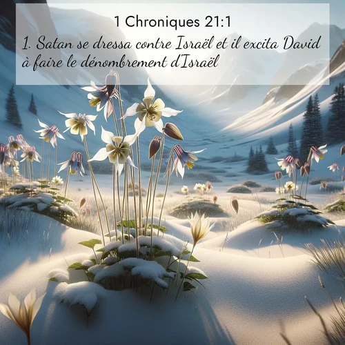 Segond21 1 Chroniques  ; image nature: image avec le verset biblique :Satan se dressa contre Israël et il excita David à faire le dénombrement d&#039;Israël. ;  ; 21:1