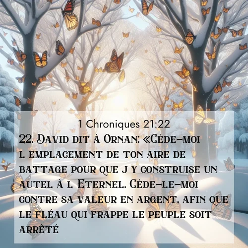 Segond21 1 Chroniques  ; image nature: image avec le verset biblique :David dit à Ornan: «Cède-moi l&#039;emplacement de ton aire de battage pour que j&#039;y construise un autel à l&#039;Eternel. Cède-le-moi contre sa valeur en argent, afin que le fléau qui frappe le peuple soit arrêté.» ;  ; 21:22