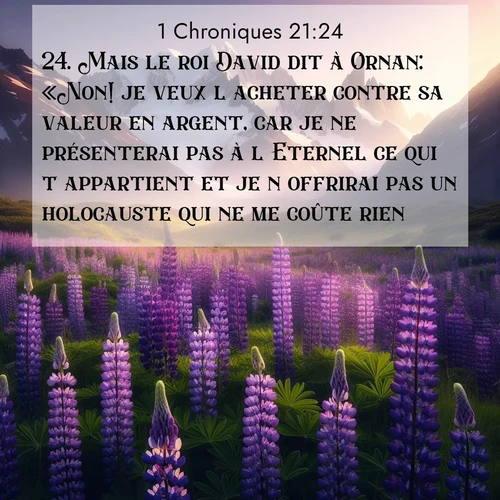 Segond21 1 Chroniques  ; image nature: image avec le verset biblique :Mais le roi David dit à Ornan: «Non! je veux l&#039;acheter contre sa valeur en argent, car je ne présenterai pas à l&#039;Eternel ce qui t&#039;appartient et je n&#039;offrirai pas un holocauste qui ne me coûte rien.» ;  ; 21:24