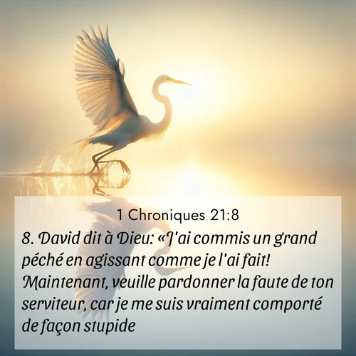 Segond21 1 Chroniques  ; image nature: image avec le verset biblique :David dit à Dieu: «J&#039;ai commis un grand péché en agissant comme je l&#039;ai fait! Maintenant, veuille pardonner la faute de ton serviteur, car je me suis vraiment comporté de façon stupide.» ;  ; 21:8