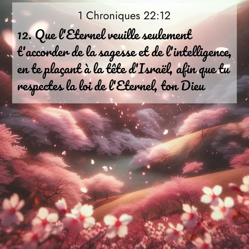 Segond21 1 Chroniques  ; image nature: image avec le verset biblique :Que l&#039;Eternel veuille seulement t&#039;accorder de la sagesse et de l&#039;intelligence, en te plaçant à la tête d&#039;Israël, afin que tu respectes la loi de l&#039;Eternel, ton Dieu! ;  ; 22:12
