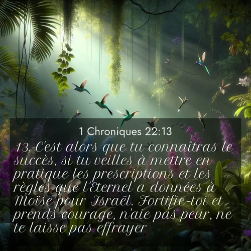 Segond21 1 Chroniques  ; image nature: image avec le verset biblique :C&#039;est alors que tu connaîtras le succès, si tu veilles à mettre en pratique les prescriptions et les règles que l&#039;Eternel a données à Moïse pour Israël. Fortifie-toi et prends courage, n&#039;aie pas peur, ne te laisse pas effrayer! ;  ; 22:13