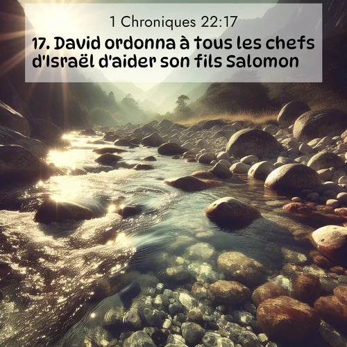 Segond21 1 Chroniques  ; image nature: image avec le verset biblique :David ordonna à tous les chefs d&#039;Israël d&#039;aider son fils Salomon: ;  ; 22:17