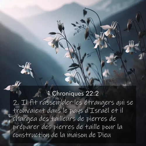Segond21 1 Chroniques  ; image nature: image avec le verset biblique :Il fit rassembler les étrangers qui se trouvaient dans le pays d&#039;Israël et il chargea des tailleurs de pierres de préparer des pierres de taille pour la construction de la maison de Dieu. ;  ; 22:2