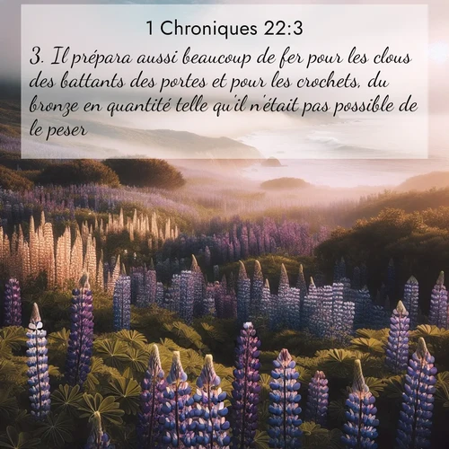 Segond21 1 Chroniques  ; image nature: image avec le verset biblique :Il prépara aussi beaucoup de fer pour les clous des battants des portes et pour les crochets, du bronze en quantité telle qu&#039;il n&#039;était pas possible de le peser ;  ; 22:3