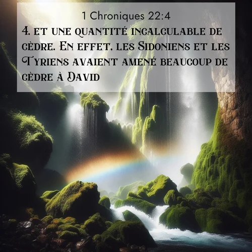 Segond21 1 Chroniques  ; image nature: image avec le verset biblique :et une quantité incalculable de cèdre. En effet, les Sidoniens et les Tyriens avaient amené beaucoup de cèdre à David. ;  ; 22:4