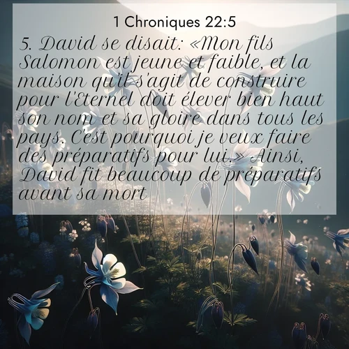 Segond21 1 Chroniques  ; image nature: image avec le verset biblique :David se disait: «Mon fils Salomon est jeune et faible, et la maison qu&#039;il s&#039;agit de construire pour l&#039;Eternel doit élever bien haut son nom et sa gloire dans tous les pays. C&#039;est pourquoi je veux faire des préparatifs pour lui.» Ainsi, David fit beaucoup de préparatifs avant sa mort. ;  ; 22:5
