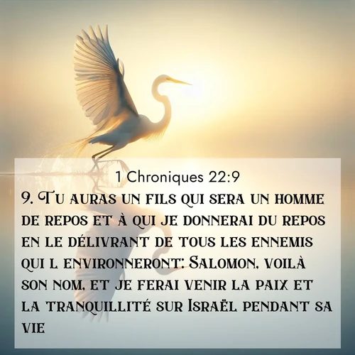 Segond21 1 Chroniques  ; image nature: image avec le verset biblique :Tu auras un fils qui sera un homme de repos et à qui je donnerai du repos en le délivrant de tous les ennemis qui l&#039;environneront: Salomon, voilà son nom, et je ferai venir la paix et la tranquillité sur Israël pendant sa vie. ;  ; 22:9