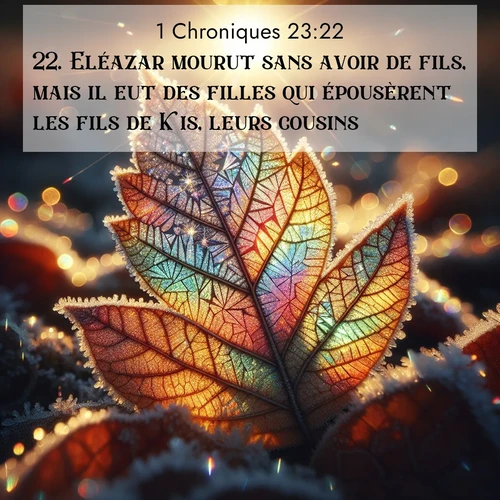 image nature avec verset biblique de la Bible