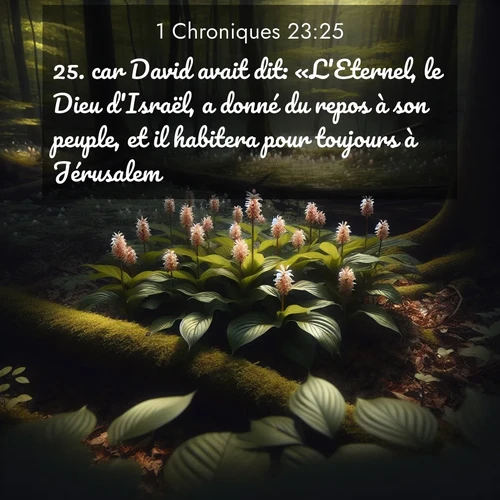 Segond21 1 Chroniques  ; image nature: image avec le verset biblique :car David avait dit: «L&#039;Eternel, le Dieu d&#039;Israël, a donné du repos à son peuple, et il habitera pour toujours à Jérusalem. ;  ; 23:25
