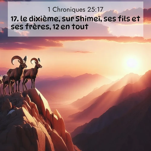 Segond21 1 Chroniques  ; image nature: image avec le verset biblique :le dixième, sur Shimeï, ses fils et ses frères, 12 en tout; ;  ; 25:17