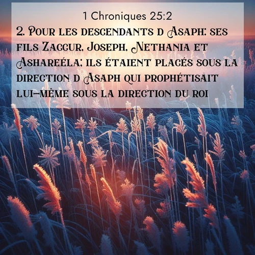 Segond21 1 Chroniques  ; image nature: image avec le verset biblique :Pour les descendants d&#039;Asaph: ses fils Zaccur, Joseph, Nethania et Ashareéla; ils étaient placés sous la direction d&#039;Asaph qui prophétisait lui-même sous la direction du roi. ;  ; 25:2