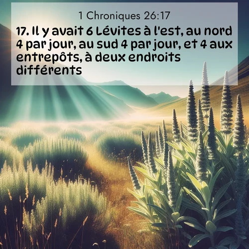 Segond21 1 Chroniques  ; image nature: image avec le verset biblique :Il y avait 6 Lévites à l&#039;est, au nord 4 par jour, au sud 4 par jour, et 4 aux entrepôts, à deux endroits différents; ;  ; 26:17
