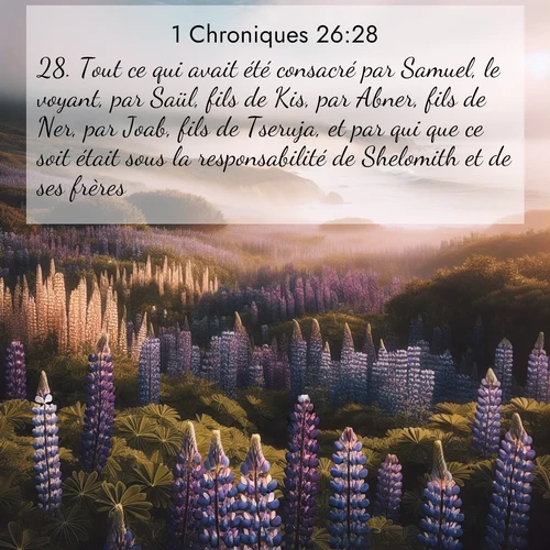 Segond21 1 Chroniques  ; image nature: image avec le verset biblique :Tout ce qui avait été consacré par Samuel, le voyant, par Saül, fils de Kis, par Abner, fils de Ner, par Joab, fils de Tseruja, et par qui que ce soit était sous la responsabilité de Shelomith et de ses frères. ;  ; 26:28