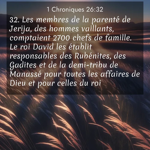 Segond21 1 Chroniques  ; image nature: image avec le verset biblique :Les membres de la parenté de Jerija, des hommes vaillants, comptaient 2700 chefs de famille. Le roi David les établit responsables des Rubénites, des Gadites et de la demi-tribu de Manassé pour toutes les affaires de Dieu et pour celles du roi. ;  ; 26:32