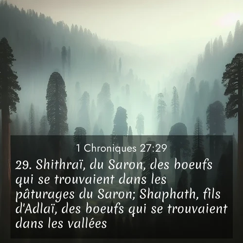 image nature avec verset biblique de la Bible