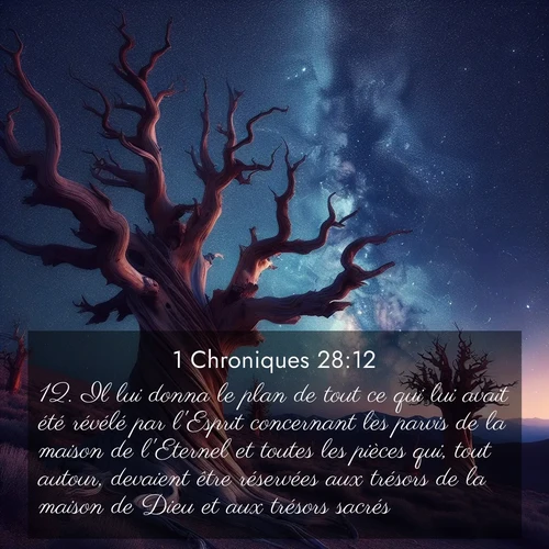 Segond21 1 Chroniques  ; image nature: image avec le verset biblique :Il lui donna le plan de tout ce qui lui avait été révélé par l&#039;Esprit concernant les parvis de la maison de l&#039;Eternel et toutes les pièces qui, tout autour, devaient être réservées aux trésors de la maison de Dieu et aux trésors sacrés, ;  ; 28:12